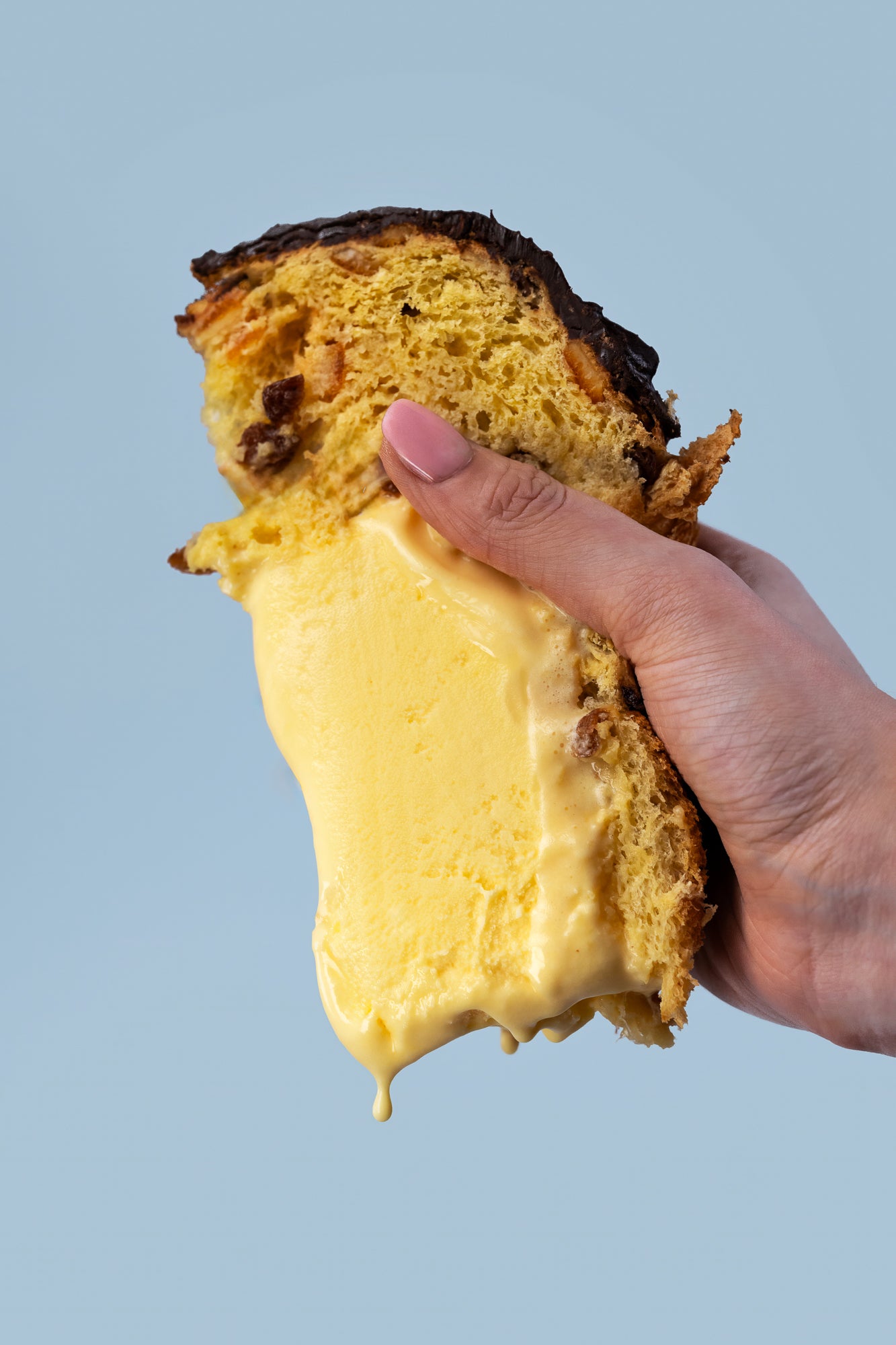 Panettone Ripieno di Gelato