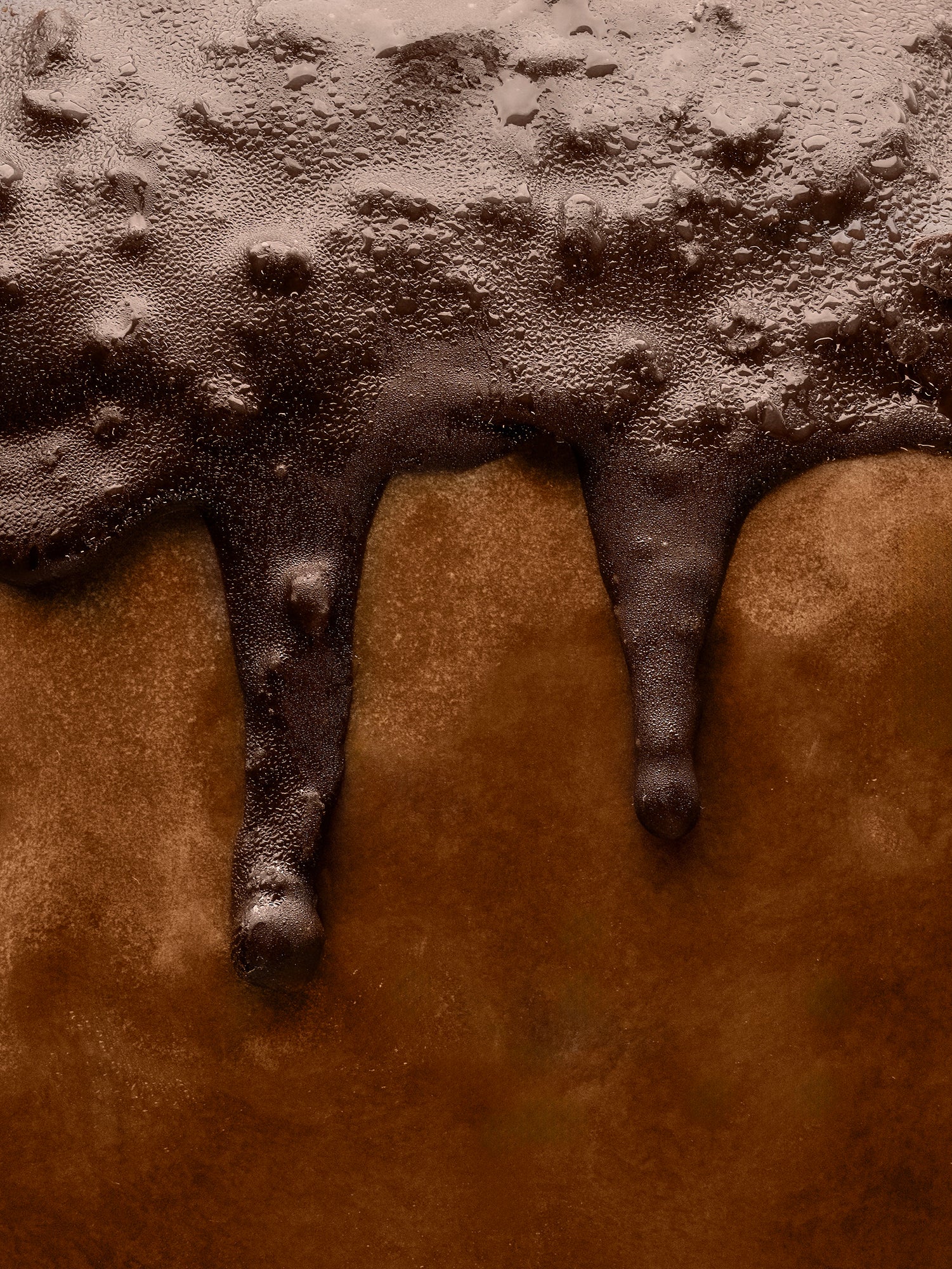 Panettone Ripieno di Gelato